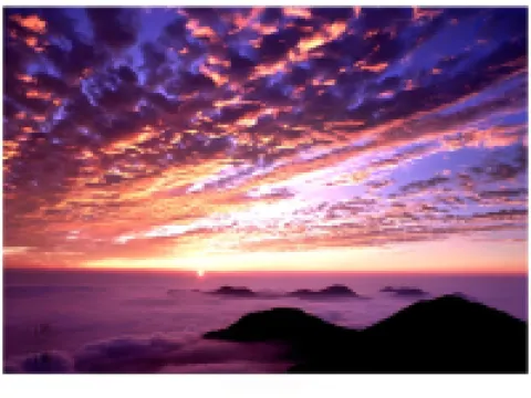 阿里山神木賓館 嘉義縣住宿飯店