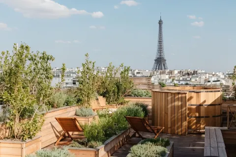 Brach Paris - Evok Collection