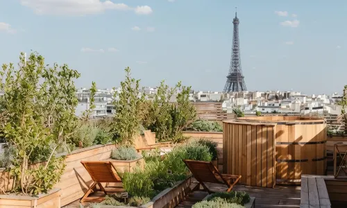 Brach Paris - Evok Collection