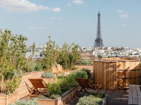 Brach Paris - Evok Collection