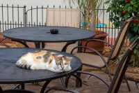 Richard's Pet Friendly Motel