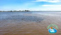 Cumaceba Amazon Lodge - Homestays