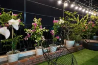 Irest Apartment Các khách sạn gần Trường Đào Tạo Lập Trình Viên Quốc Tế Aptech-Hanoi