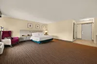 ヒルトン ガーデン イン ウィリアムズバーグ のホテル