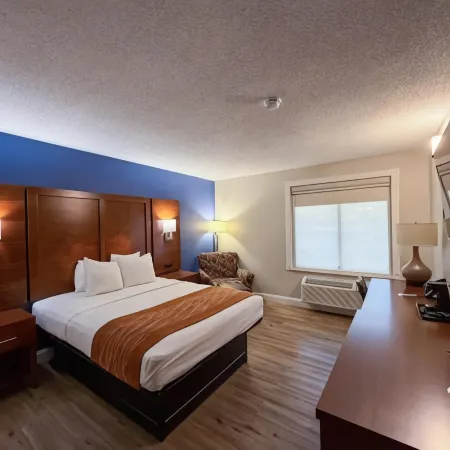 Comfort Inn & Suites St Louis-Hazelwood