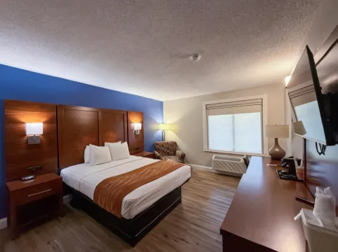 Comfort Inn & Suites St Louis-Hazelwood Hotels in Hazelwood