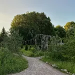 Rai V Shalashe V Korobitsino