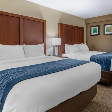 Comfort Inn & Quality Suites