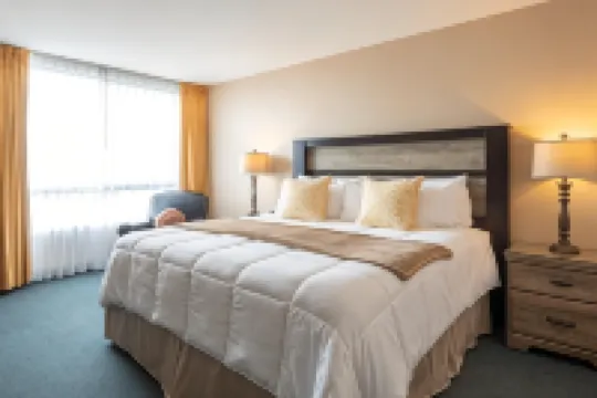 โรงแรมนิวการ์เดนา