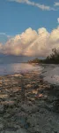 Serenity on the Bay1 - One Bed Cayman Brac - Airport Shops Restaurants Close! - Интернет