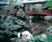 Yahikokan Myogaya Hotels in Yahiko