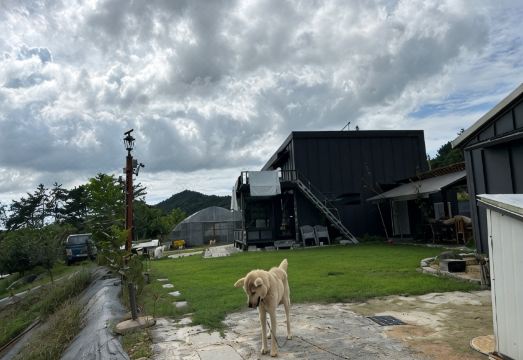 솔안넘어자연속으로