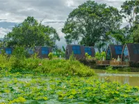 Huayu Hot Spring Homestay Hotels in Yingjiang