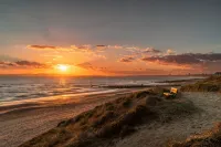 Gorgeous Beach-Front 2-Bed Apt w/ Free Gym & PKG - Apartments