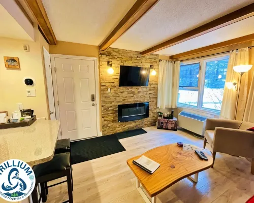 Rustic Mountainside Chalet Hotels near Silver Bullet