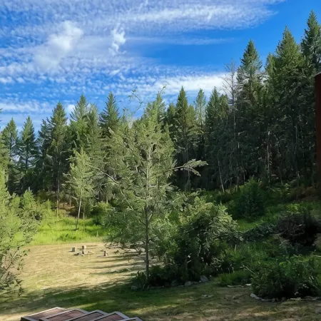 Stunning Custom Made Log Home- on 30 acres