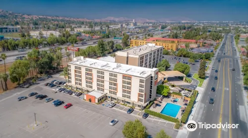 DoubleTree by Hilton San Bernardino - bar