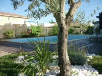 Landes villa with swimming pool - Villas
