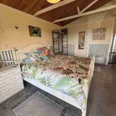 Tui Cottage Private rural retreat with elevated views to the ocean Rooms