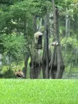 Sleeps 10. Bayou Front Home close to ULM, Sports Complexes, Airport and I-20.