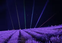 5 Minutes to Flower Fields Max 10 Peoplewith Dog - Mountain view