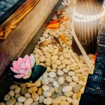 Bieshu Yige Hostel - صديق للحيوانات الاليفة