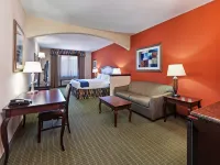 Holiday Inn Express & Suites HENDERSON-TRAFFIC STAR by IHG - Ramah keluarga