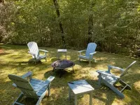 Forest Therapy - Exactly What You're Looking For! - Gym