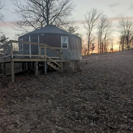 The Hive - Yurt on Hobby Farm