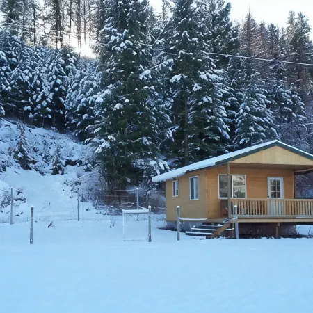 Cozy Cabin in Kettle Valley