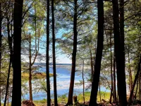 Lakefront Glamping Tent w/ensuite bathroom, King Bed, Fabulous View, near Acadia - Alppimaja