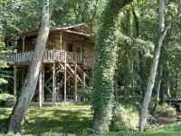 Papa Bears Cozy Cabin at Up The Creek