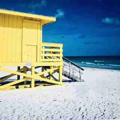 2 minutes from beautiful Siesta Key mainbeach! Fitness & Recreational Facilities
