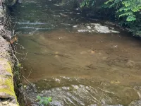 Papa Bear's Den!The perfect location to visit the trails” Hotels in Logan County