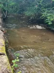 Papa Bear's Den!The perfect location to visit the trails” - Wi-Fi
