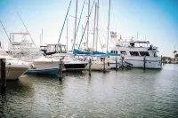 Rave Reviews Walk to Downtown Dunedin & Waterfront Pets Ok -Barefoot Parrot 1 - 3-Star