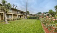 Rose Garden Inn - parking