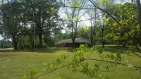 Backyard splendor!!! - 2-Star