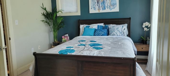 Serene Bohemian Paradise 420 Friendly Hotels in New Haven