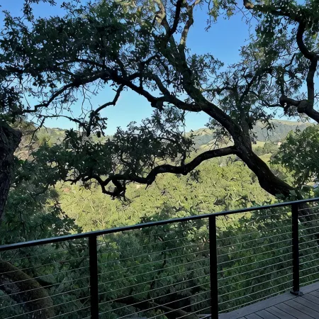 Modern Oasis in San Anselmo - Stunning Views & Ultimate Privacy