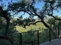 Modern Oasis in San Anselmo - Stunning Views & Ultimate Privacy - Boutique