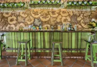 卡薩聖卡洛斯小屋酒店 - 酒吧