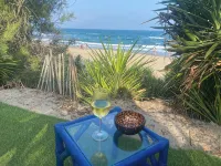 Atypical, set on the beach with direct access, swimming pool, barbecue, pets allowed - Alphydda