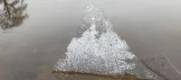 阿德瓦尼房子
