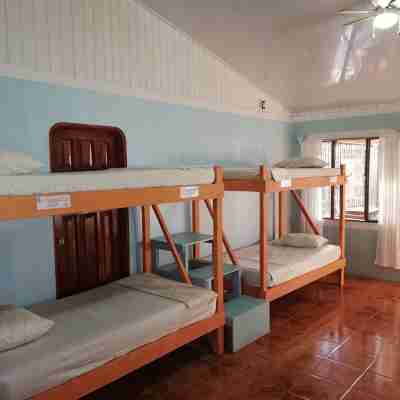 Hostel y Cabinas Tapandua Rooms