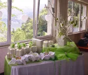 Hotel Glavjc - balcony