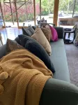 Mornington Peninsula Escape.  Tennis Court, Swimming Pool & Spa - 4-Star