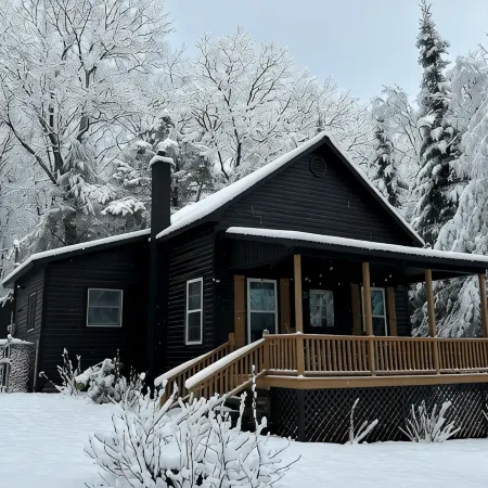 Cozy all season cabin w/ private boathouse & dock!