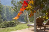 Riverside House on the beautiful Howqua River - Wifi