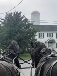 Botanical Loft in Amish Country, King Bed, Jetted Tub & Garden Patio - 4성급